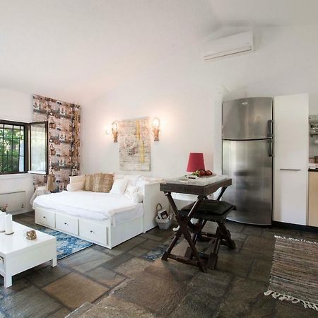 Villa Irini In Sani Sani  エクステリア 写真