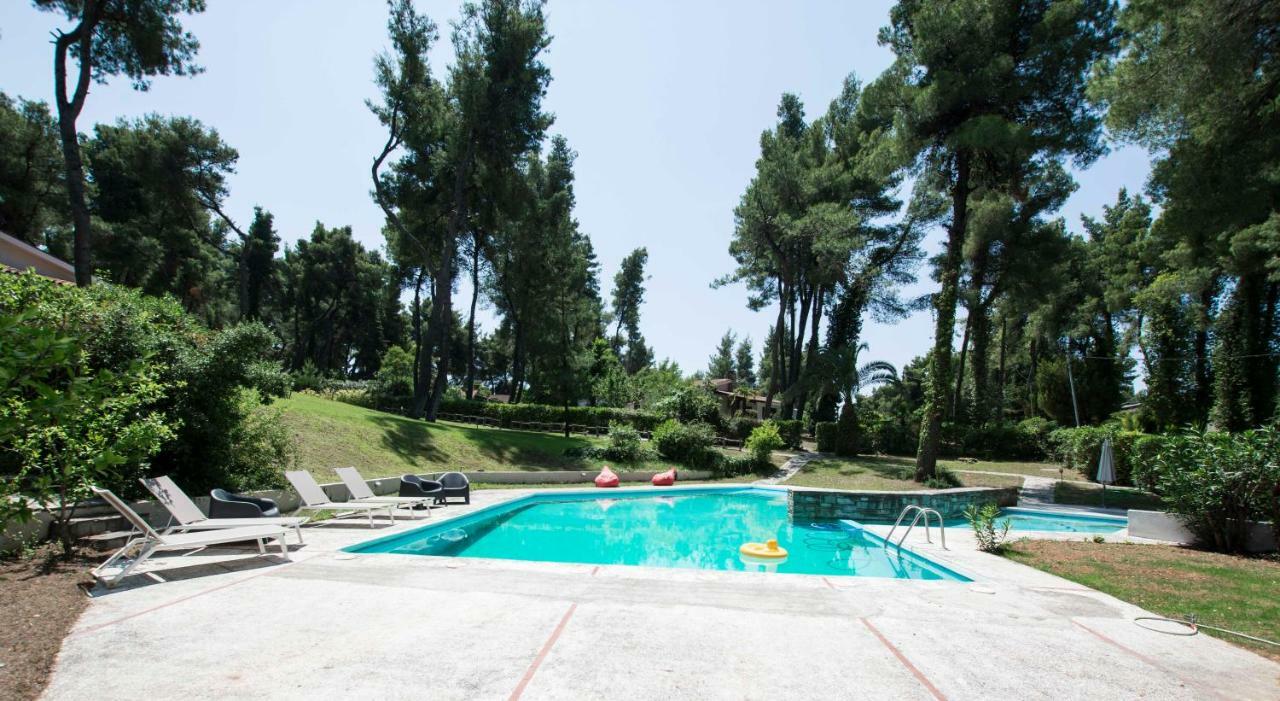 Villa Irini In Sani Sani  エクステリア 写真