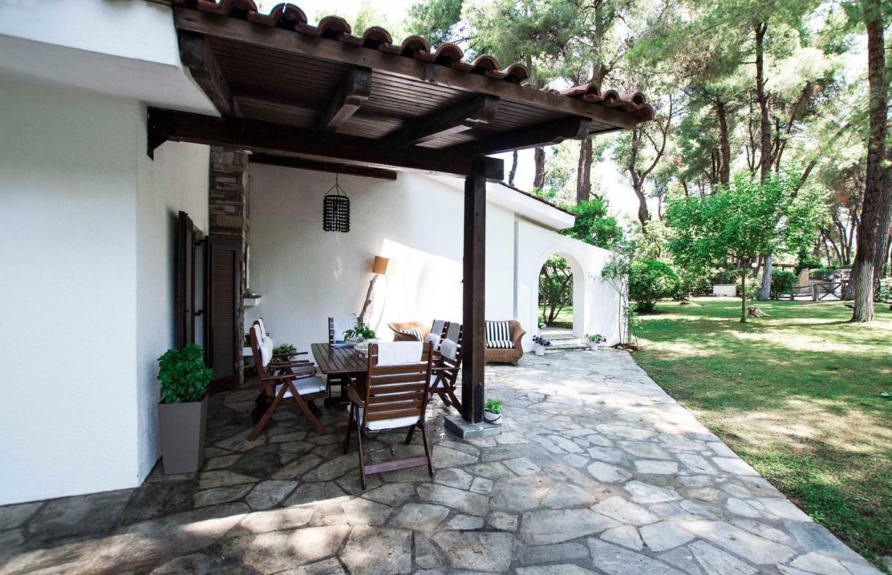 Villa Irini In Sani Sani  エクステリア 写真