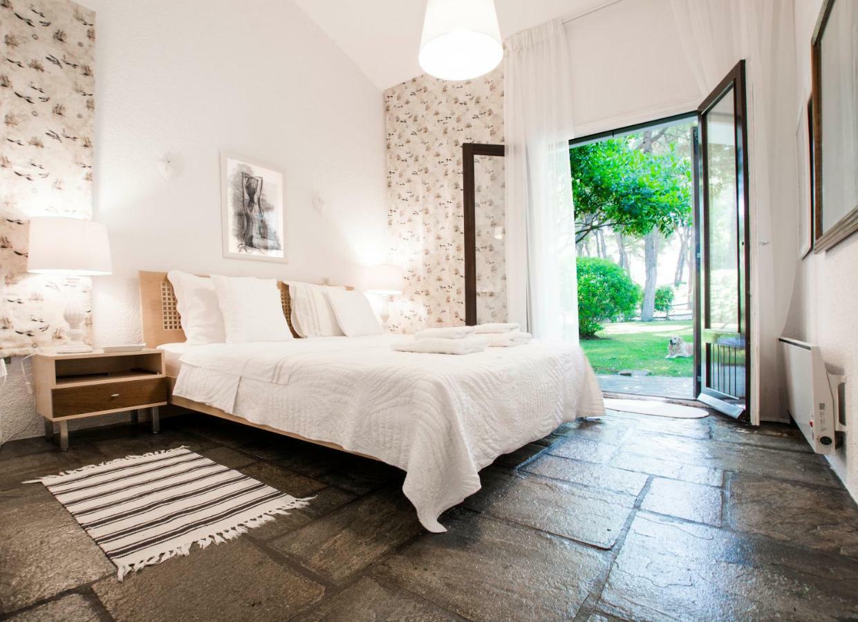 Villa Irini In Sani Sani  エクステリア 写真