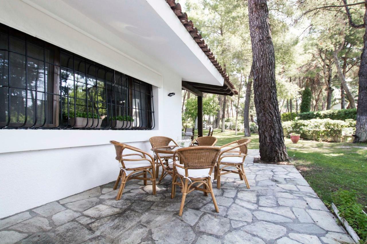 Villa Irini In Sani Sani  エクステリア 写真