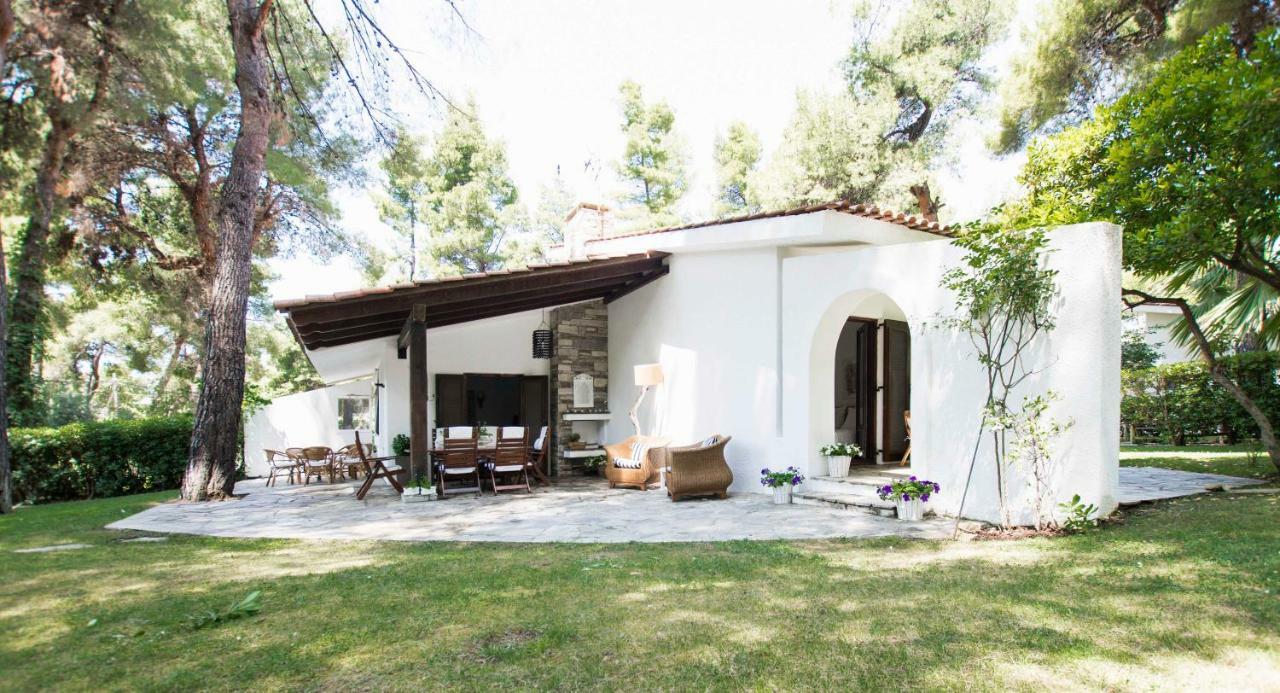 Villa Irini In Sani Sani  エクステリア 写真