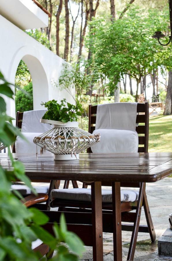 Villa Irini In Sani Sani  エクステリア 写真